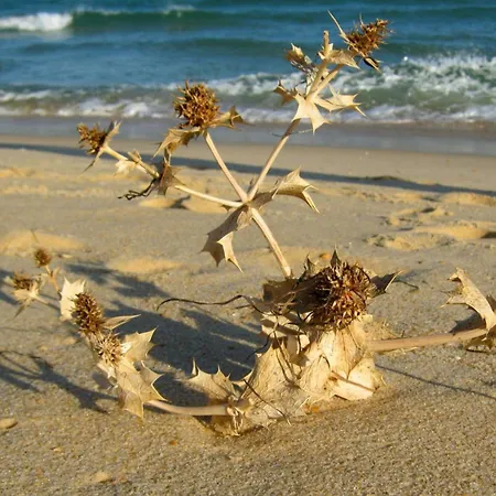 Moinhos Mares Gasthuis