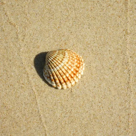 Gasthuis Moinhos Mares