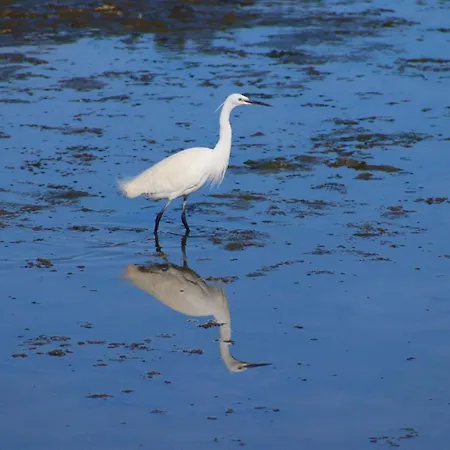 Gasthuis Moinhos Mares