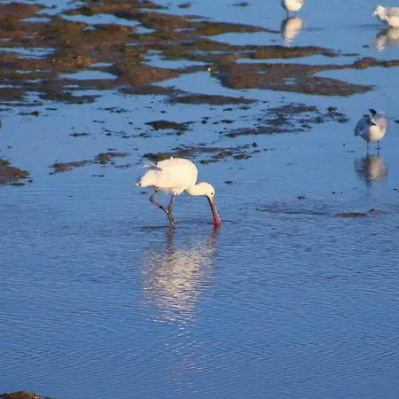 Moinhos Mares Gasthuis Fuseta