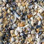 Moinhos Mares 招待所 4*