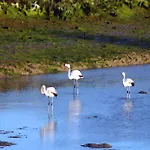 Moinhos Mares