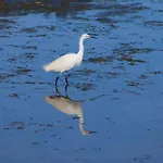 招待所 Moinhos Mares