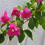 Moinhos Mares 招待所 夫塞塔