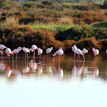 Moinhos Mares 3* Fuzeta