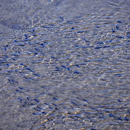 Moinhos Das Mares Gasthof Fuseta