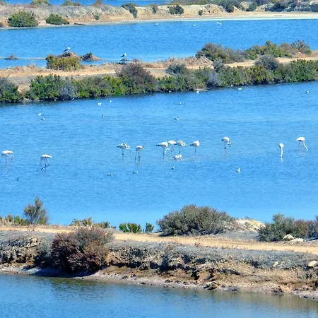 Moinhos Das Mares