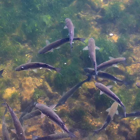 Gasthof Moinhos Das Mares Fuseta